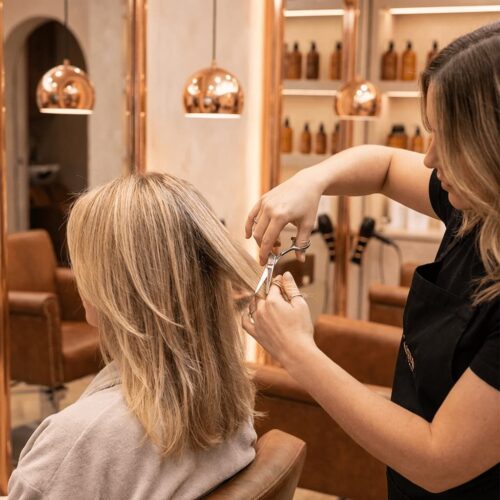 Womans precision dry haircut